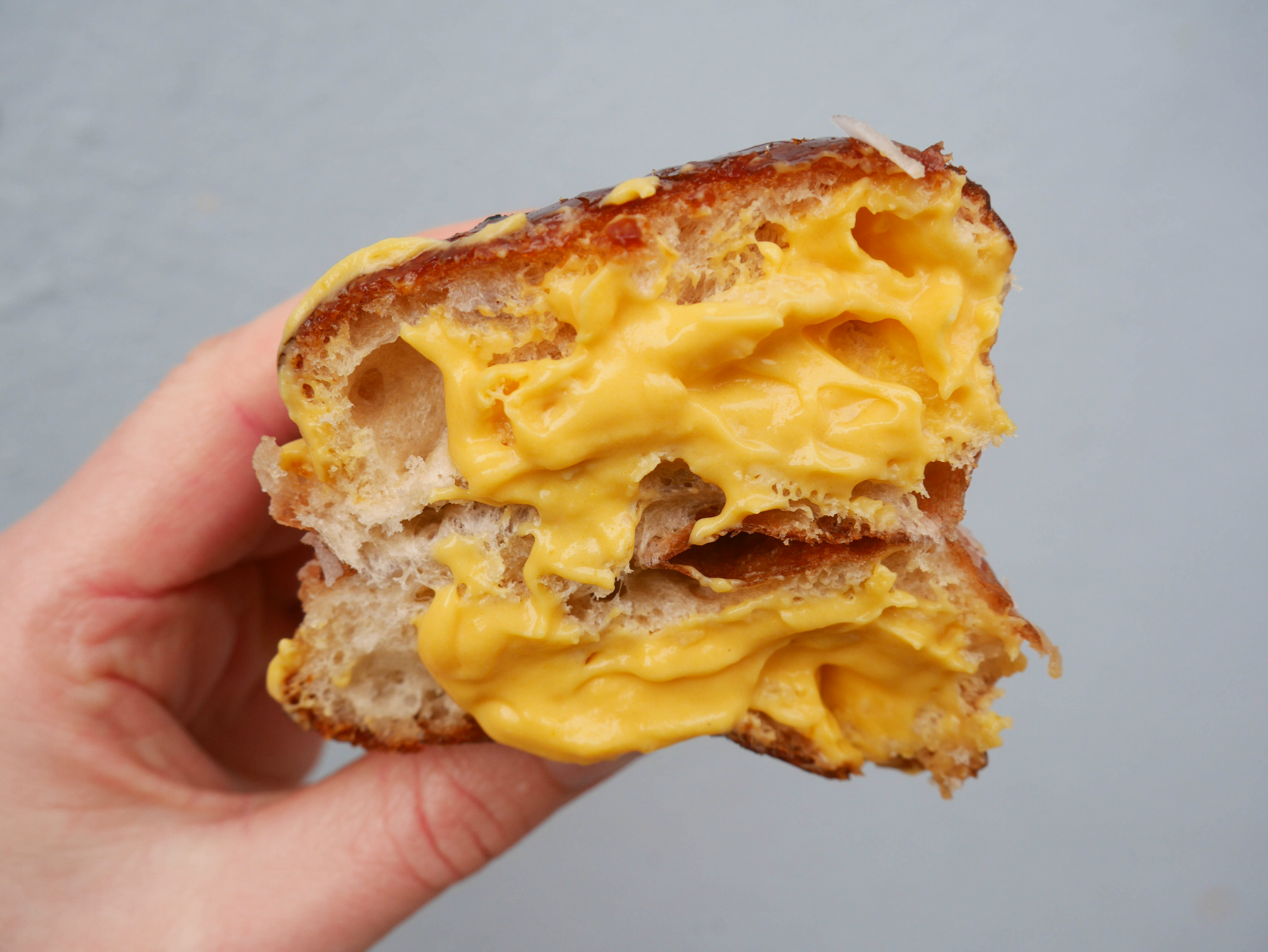 Best Donuts NYC - Creme Brulee Doughseed Doughnut Plant